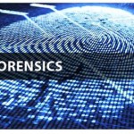 Computer Forensic analyst