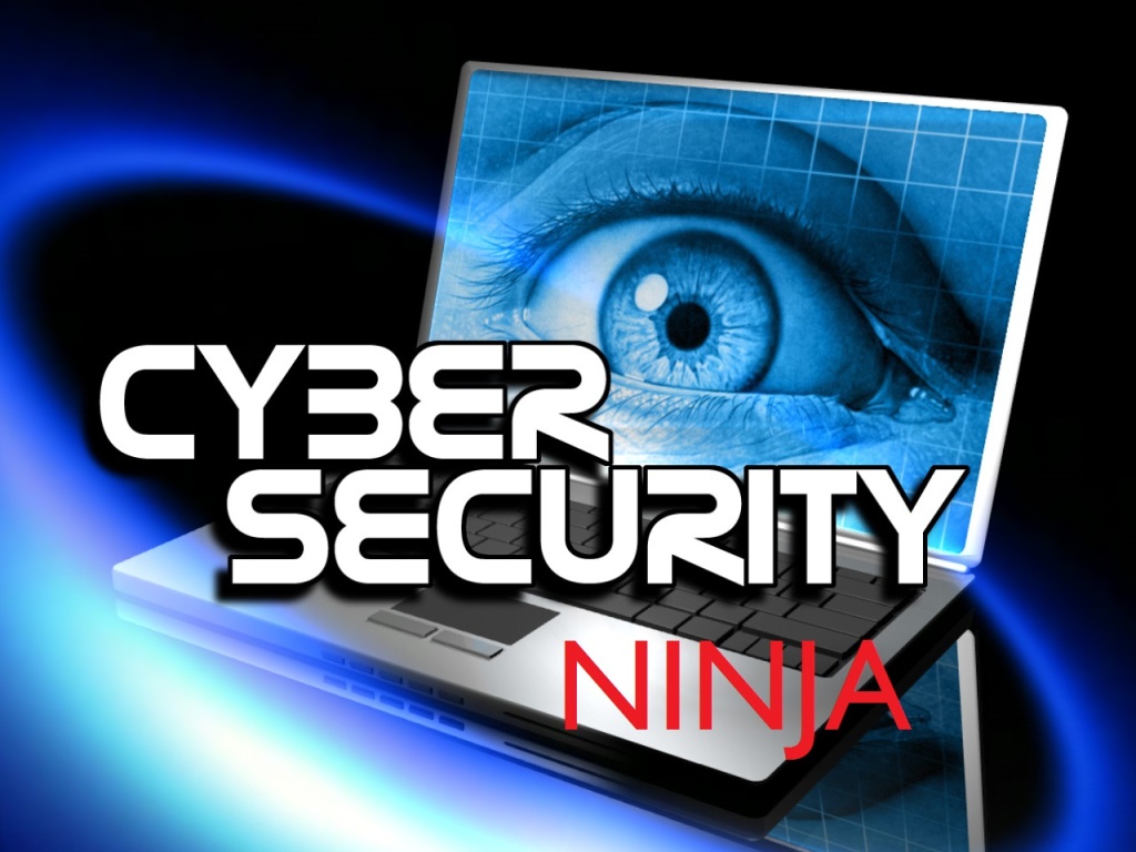 Certified Security Ninja (CSN)- 6 weeks training course