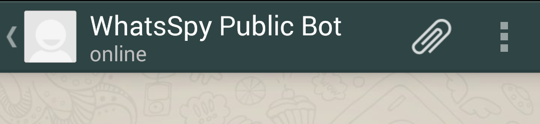 WhatsSpy Public